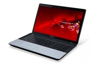Packard Bell                     EasyNote LE11BZ-2145BE8 (AMD Dual-Core E1-1200, 17,3" HD+ LED, Radeon HD7310, 4 GB DDR3, 500 GB, DVDRW, Windows 8)