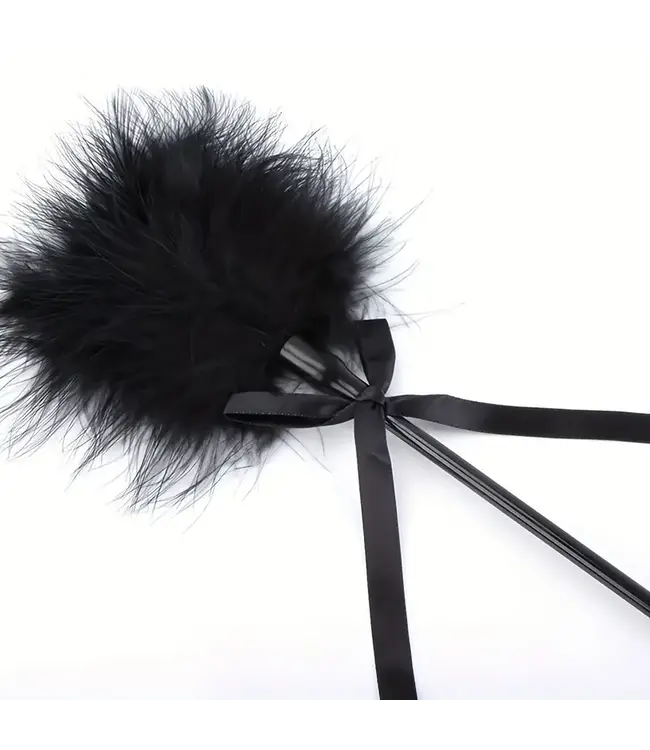 Hart handle PU zweep met Veren - zwart