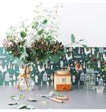 MT casa washi remake sheet Polly Fern Topiary garden