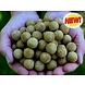 Freezer Bait - Ester & Cream Freezer Bait - Ester & Cream
