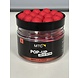 Pop-Up Edizione Limitata - Squid & Octopus Pop-Up Edizione Limitata - Squid & Octopus