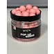 Pop-Up Limited Edition - Fresh Water Mussel Pop-Up Limited Edition - Fresh Water Mussel