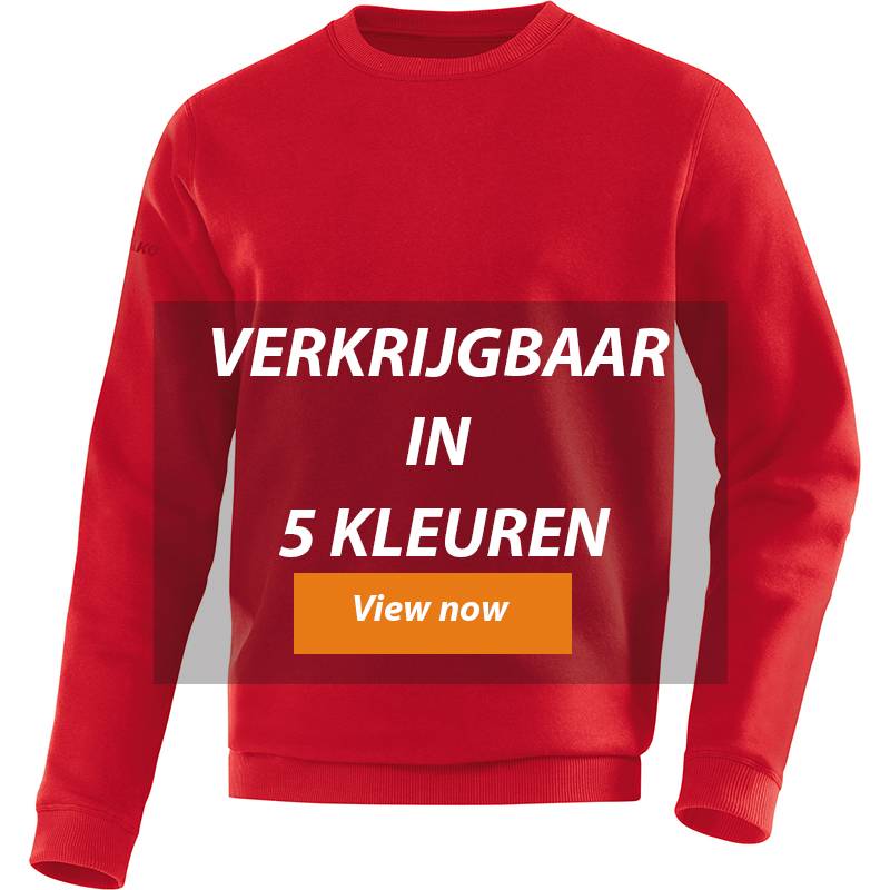 Sweater Team ADULTS