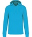 ECO hoodie Uni Sea-Turquoise