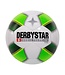 Derbystar Futsal Basic Pro TT