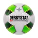Derbystar Futsal Basic Pro TT Derbystar Futsal Basic Pro TT