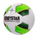 Derbystar Futsal Basic Pro TT Derbystar Futsal Basic Pro TT