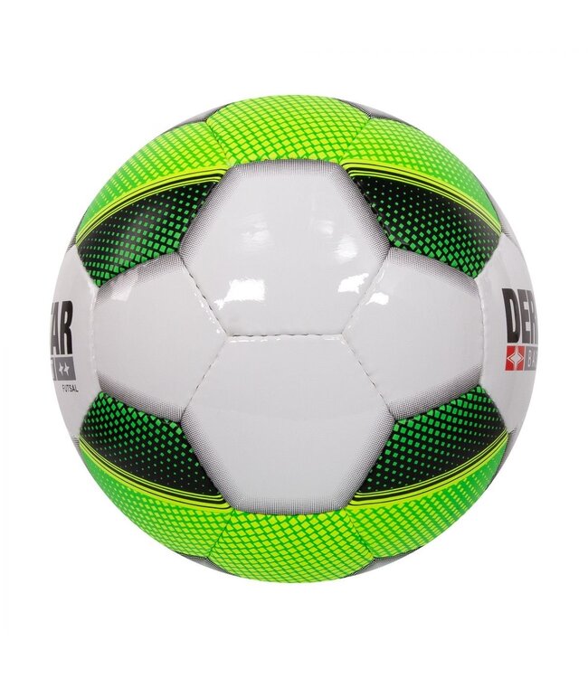 Derbystar Futsal Basic Pro TT
