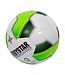 Derbystar Futsal Basic Pro TT