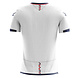 Zeus WK Set Engeland Zeus WK Set Engeland