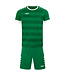 JAKO Shirt Celtic Melange│Sportgroen-Wit