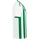 JAKO Shirt Inter│Kids-Adults│Wit-Sportgroen JAKO Shirt Inter│Kids-Adults│Wit-Sportgroen