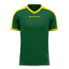 Givova Shirt Revolution Groen-Geel│KIDS en ADULTS Givova Shirt Revolution Groen-Geel│KIDS en ADULTS