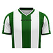Givova Kit Catalano│M - L - XL│Groen-Wit Givova Kit Catalano│M - L - XL│Groen-Wit