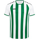 JAKO Zaalvoetbalset Inter│Wit-Sportgroen JAKO Zaalvoetbalset Inter│Wit-Sportgroen