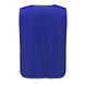 Neutrale overgooier voor scholen | Royalblue Neutrale overgooier voor scholen | Royalblue