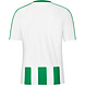JAKO OP = OP SALE LAATSTE SHIRTS SANTOS WIT-GROEN JAKO OP = OP SALE LAATSTE SHIRTS SANTOS WIT-GROEN