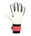JAKO Jako Keeperhandschoen River Basic Junior RC