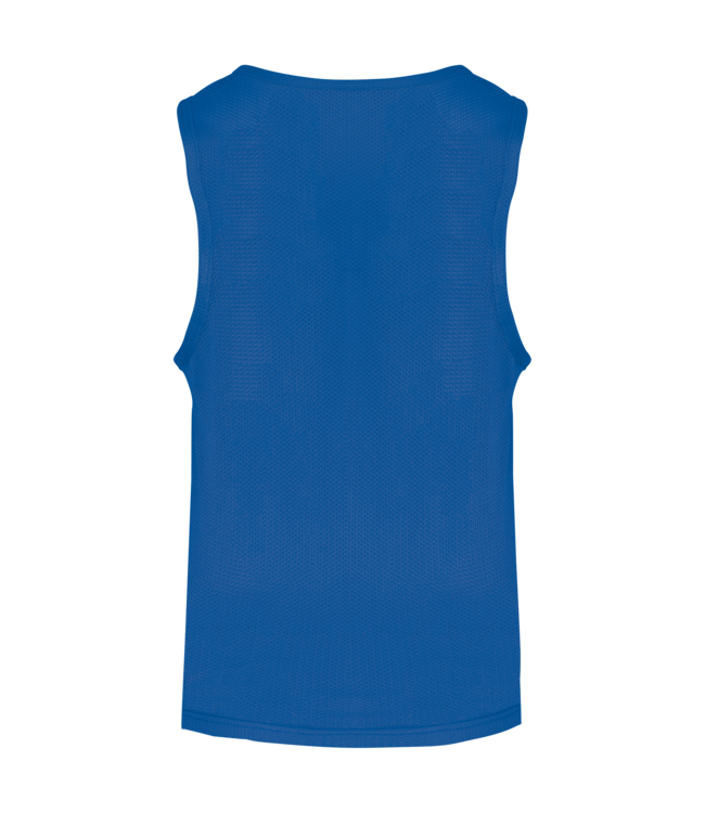 Proact Neutrale overgooier voor KIDS  en ADULTS | Sporty Royalblue