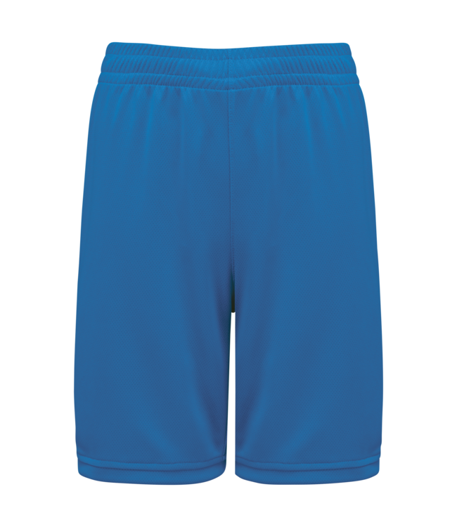 Proact Basketbalshort Heren | Royalblue