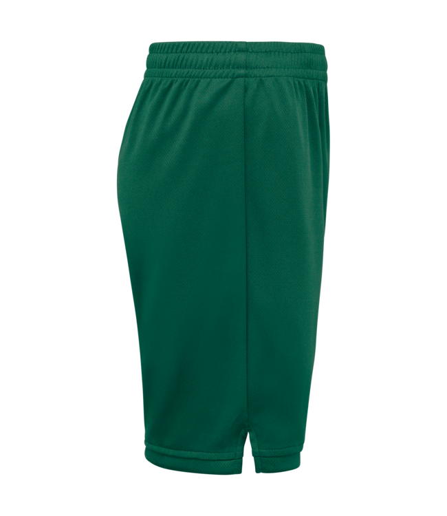 Proact Basketbalshort Kids | Groen