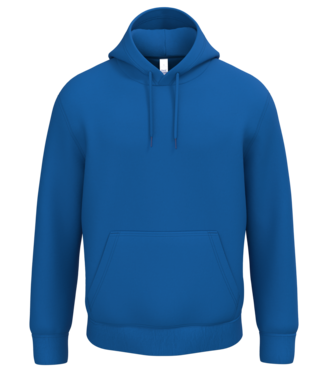 Ideal Basic Unisex Promo Hoodie | Royalblue