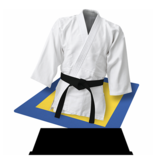 WT 0211 Eco trofee van hout  Judo-  13,5-16,5 cm