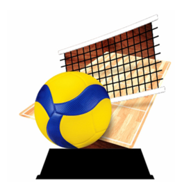 WT 0201 Eco trofee van hout  Volleybal -  13,5-16,5 cm