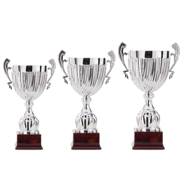 AK 5500 Trofee Cup met oren 3 maten 48.5-57 cm