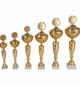 AK 5082 GOUDKLEURIGE SERIE 6 MATEN 35.5-53.5 CM