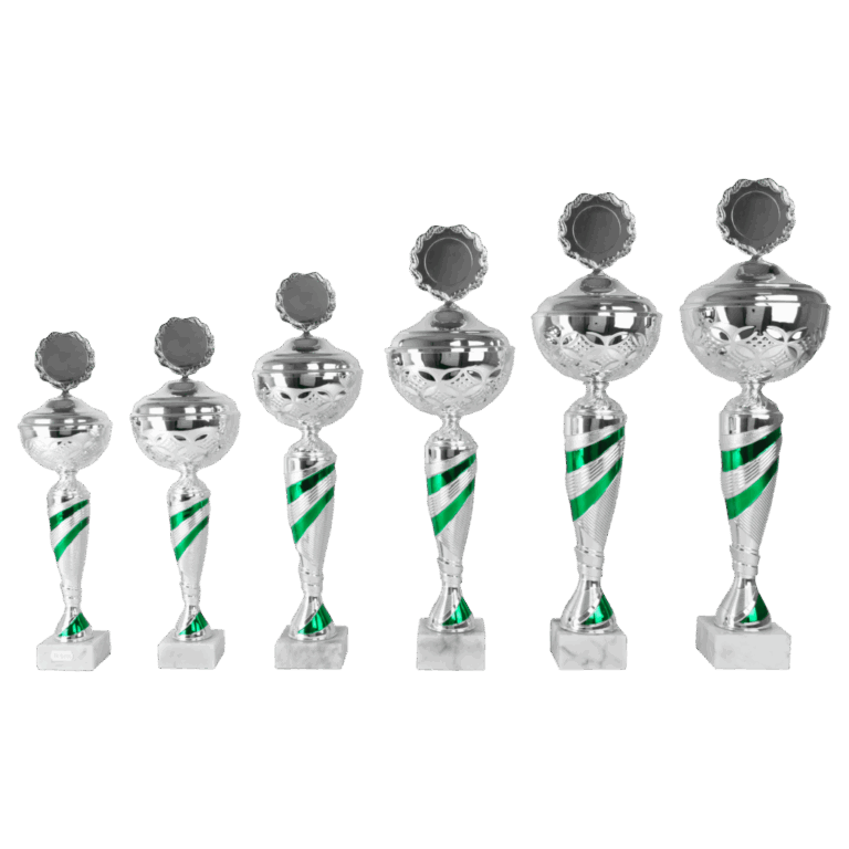 AK 5095 ZILVER-GROENE SERIE 6 MATEN 38-54 CM