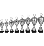 AK 5161 MOOIE LANGE SERIE 8 MATEN ZILVER 33-49 cm