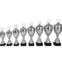 AK 5161 MOOIE LANGE SERIE 8 MATEN ZILVER 33-49 cm