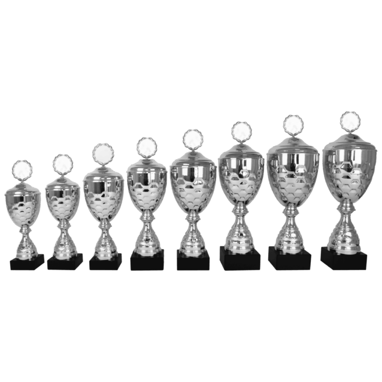 AK 5161 MOOIE LANGE SERIE 8 MATEN ZILVER 33-49 cm