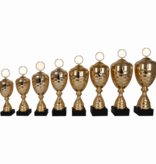 AK 5171 MOOIE LANGE SERIE 8 MATEN GOUD 33-49 cm