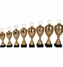 AK 5171 MOOIE LANGE SERIE 8 MATEN GOUD 33-49 cm