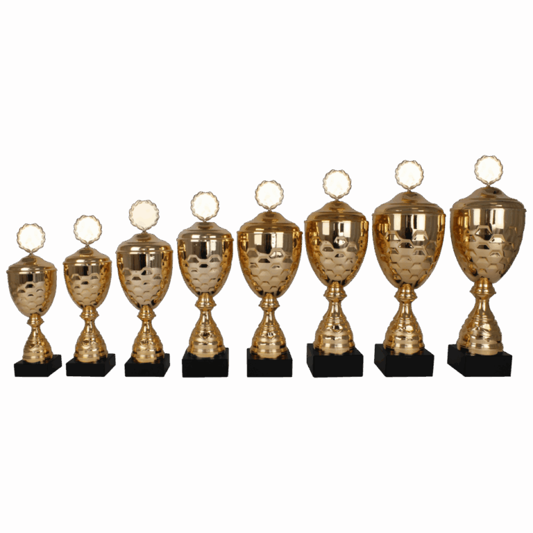 AK 5171 MOOIE LANGE SERIE 8 MATEN GOUD 33-49 cm