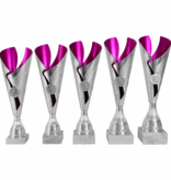 AK 5216 ZILVER-PAARSE SERIE 5 MATEN 32.5-37 CM