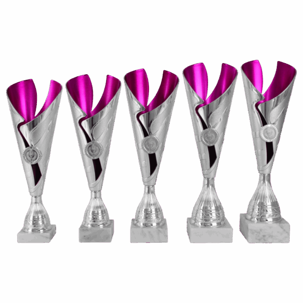 AK 5216 ZILVER-PAARSE SERIE 5 MATEN 32.5-37 CM