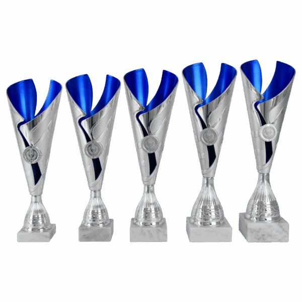 AK 5218 ZILVER-BLAUWE SERIE 5 MATEN 32.5-37 CM