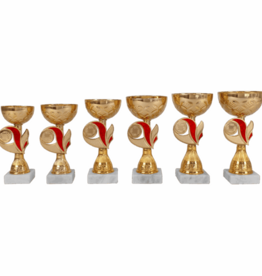 AK 5391 GOUD-RODE  SERIE 6 MATEN 16.5-20  CM