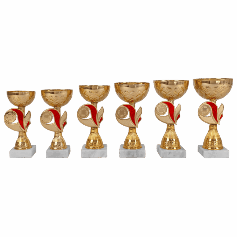 AK 5391 GOUD-RODE  SERIE 6 MATEN 16.5-20  CM