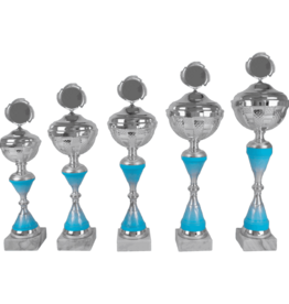 AK 5461 ZILVER-BLAUWE SERIE 5 MATEN 37.5-48 CM