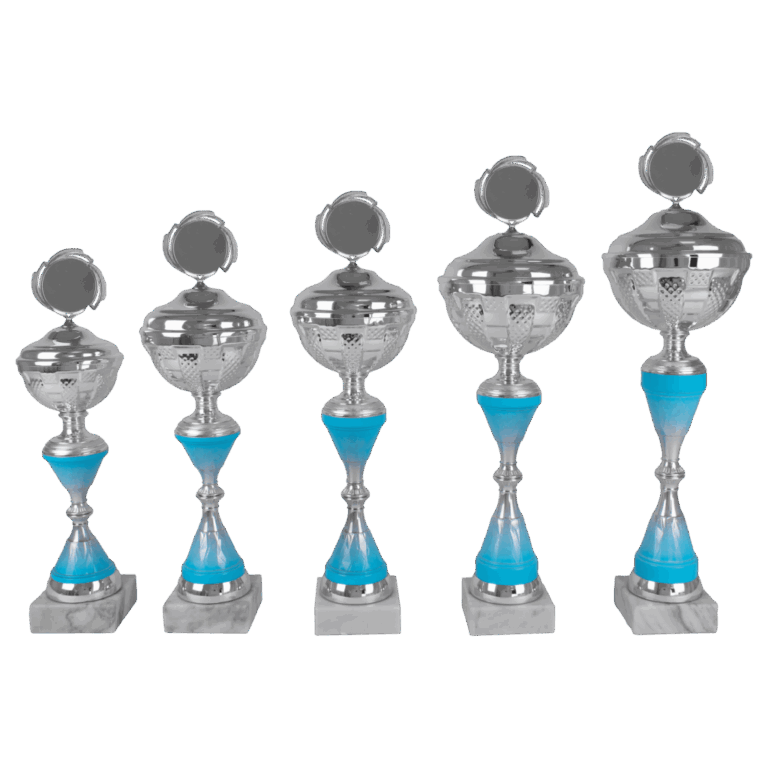 AK 5461 ZILVER-BLAUWE SERIE 5 MATEN 37.5-48 CM