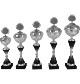 AK 5462 ZILVER-ZWARTE SERIE 5 MATEN 37.5-48 CM