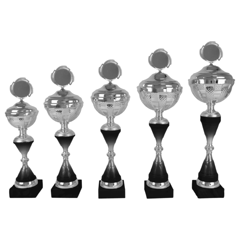 AK 5462 ZILVER-ZWARTE SERIE 5 MATEN 37.5-48 CM