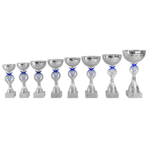 AK 5686  LANGE SERIE 8 MATEN ZIL-BLAUW  20.5-29 CM