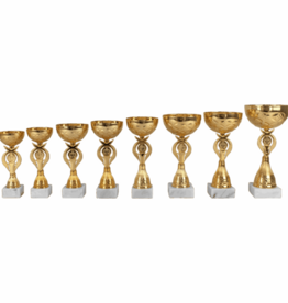 AK 5696  LANGE SERIE 8 MATEN GOUD 20.5-29 CM