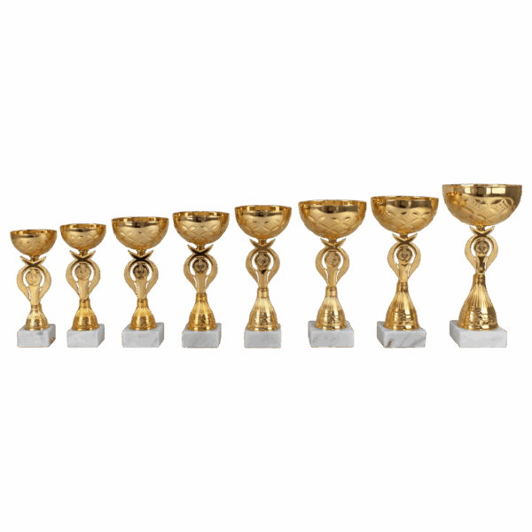 AK 5696  LANGE SERIE 8 MATEN GOUD 20.5-29 CM