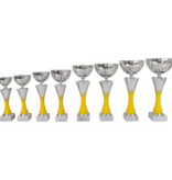 AK 5765 MOOIE LANGE SERIE 8 MATEN ZILVER -GEEL 26-36 cm